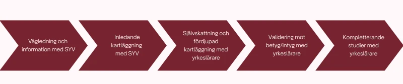 Pilar som visar valideringsprocessen med stegen: Vägledning och information med SYV, Inledande kartläggning med SYV, Självskattning och fördjupad kartläggning med yrkeslärare, Validering mot betyg/intyg med yrkeslärare, Kompletterande studier med yrkeslärare