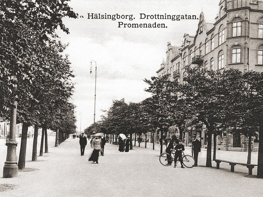 1876 togs beslutet att anlägga två rader träd utmed Drottninggatan. (foto: Helsingborgs museisamling)