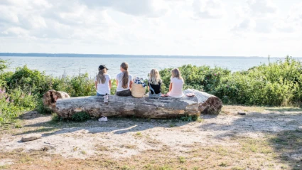 Barn på stock vid grillplatsen vid Larödbaden i Helsingborg