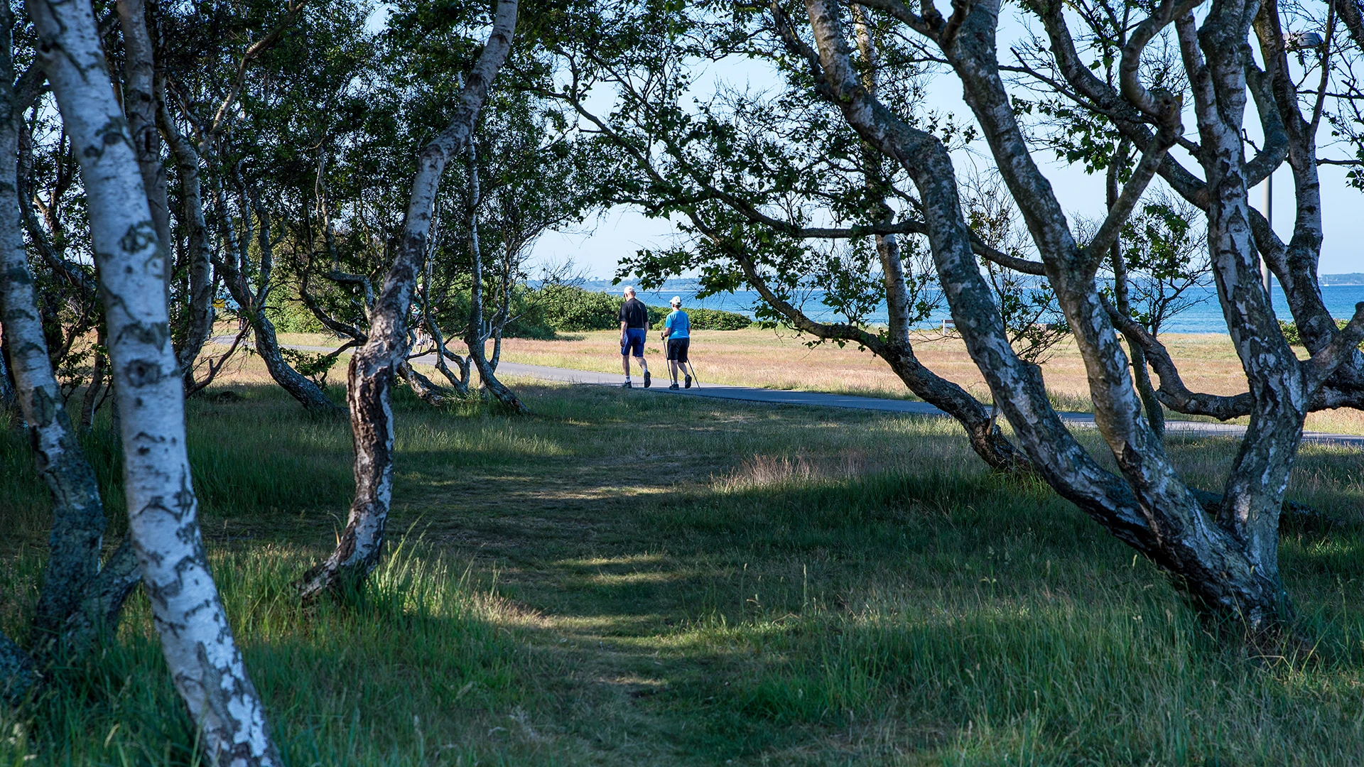 Personer på gång- och cykelvägen på Örby ängar med träd i förgrunden