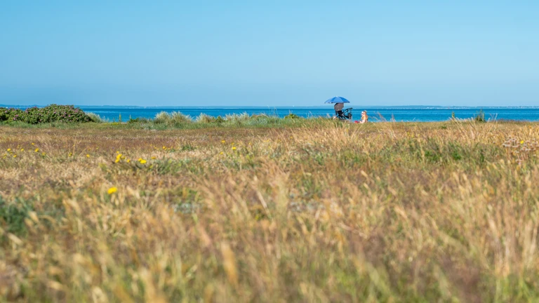 Personer på stranden på Örby ängar med äng i förgrunden.