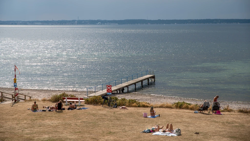 Vy över gräs, strand och brygga vid Tinkarpsbadet