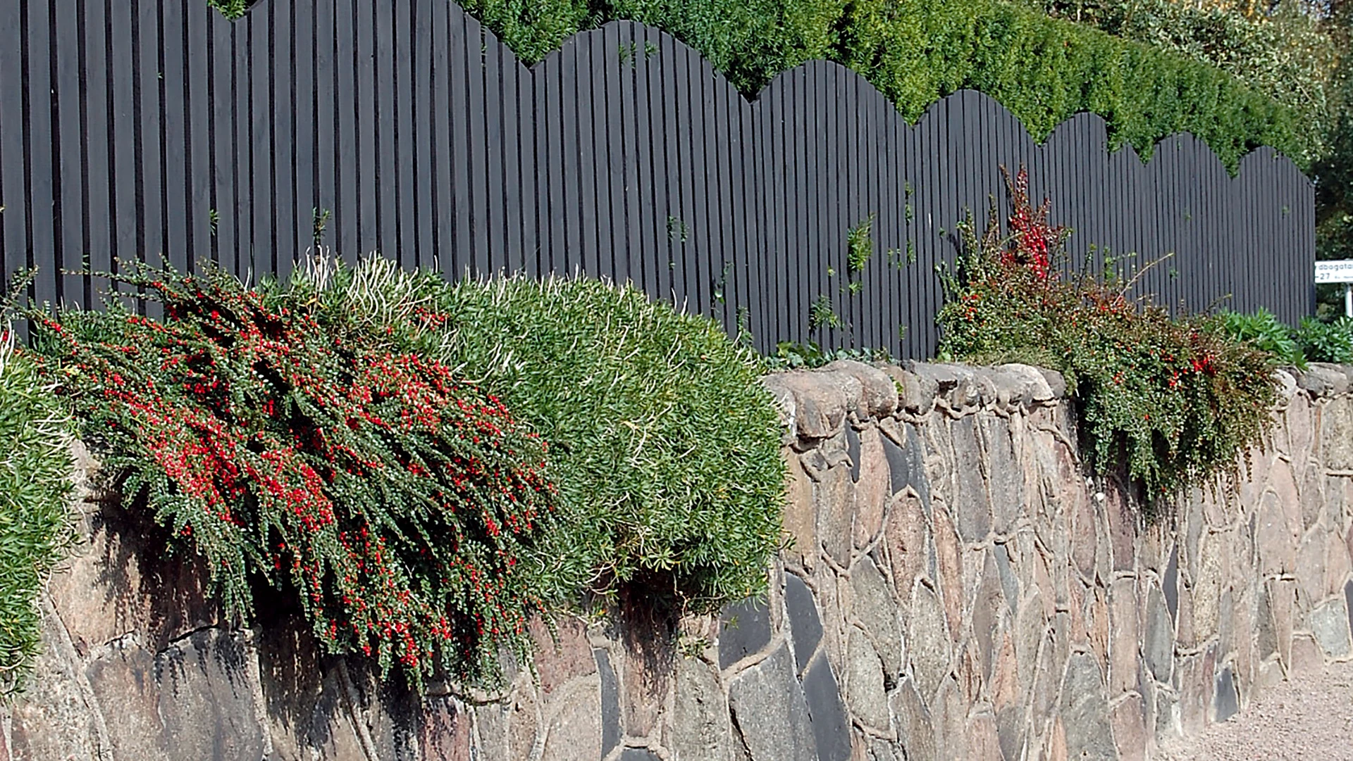 Mur och plank i Helsingborg (foto: Anna Thulin)