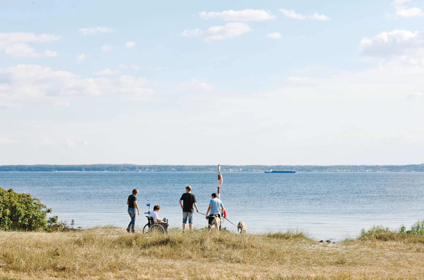 Fyra personer står och blickar ut över Öresund.