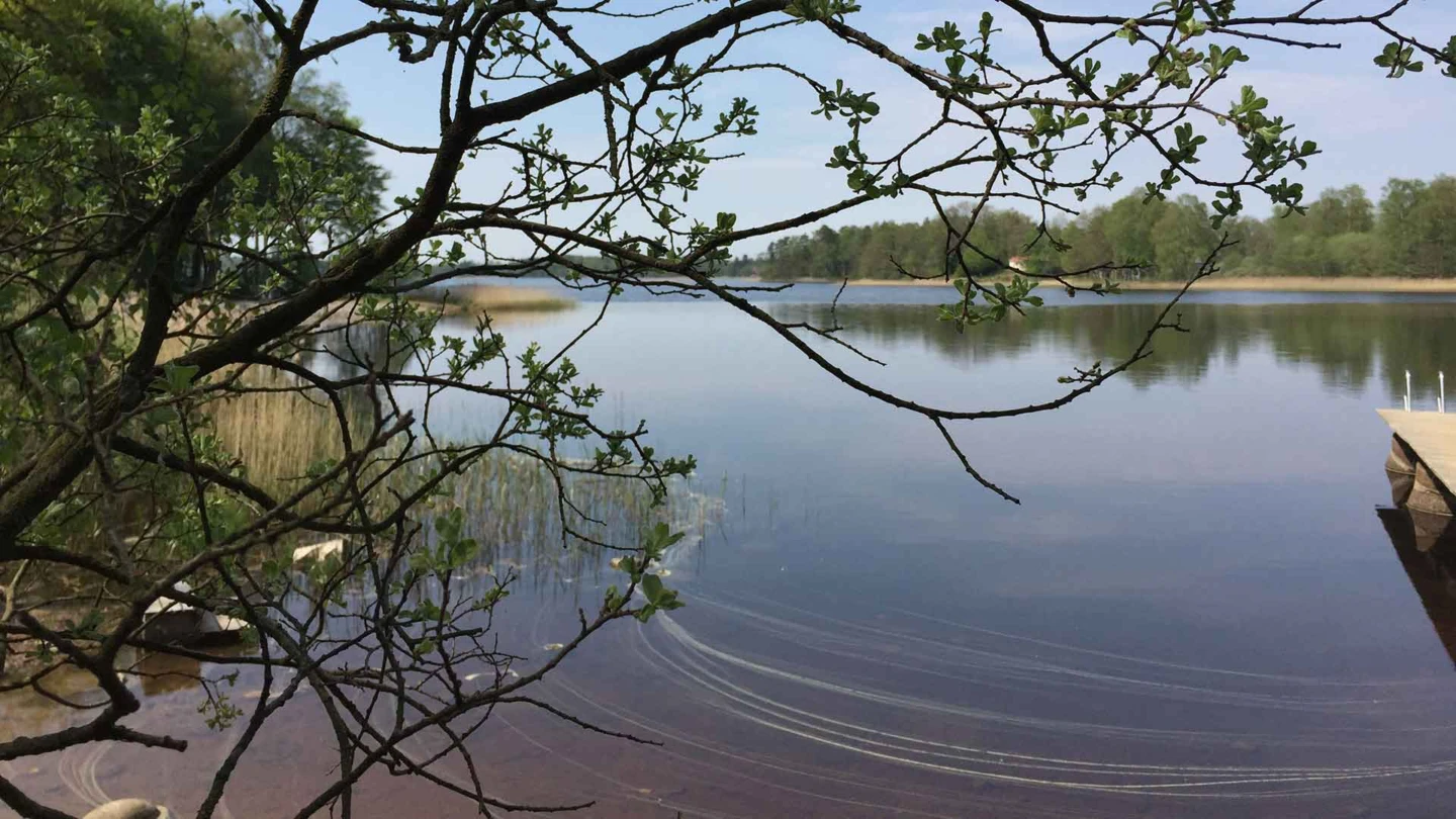 Hjelmsjövik naturskola i Örkelljunga, vy mot sjön