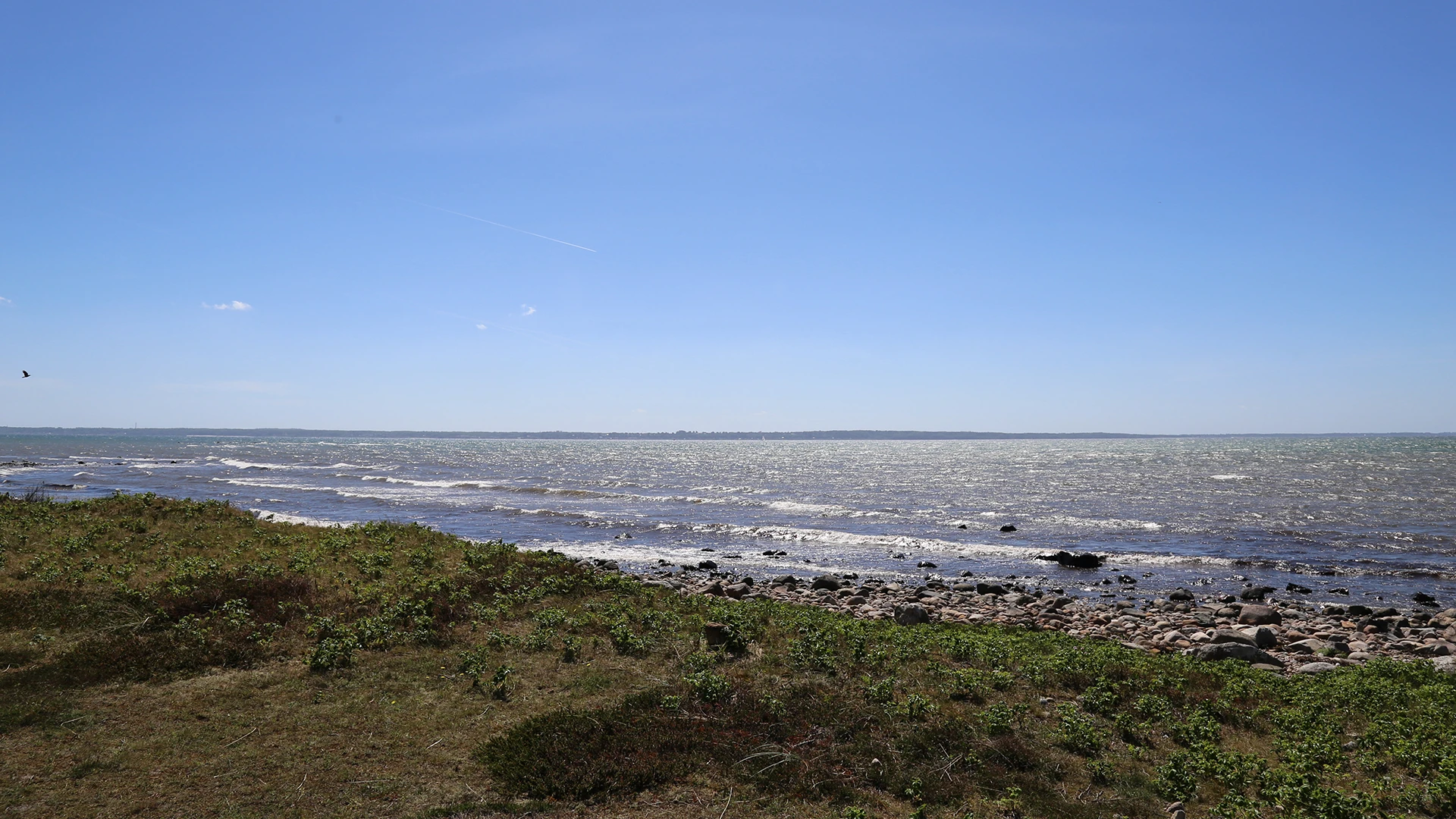 Grå läge, naturområde i Helsingborg.