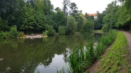 Gåsebäcken i Jordbodalen i Helsingborg.