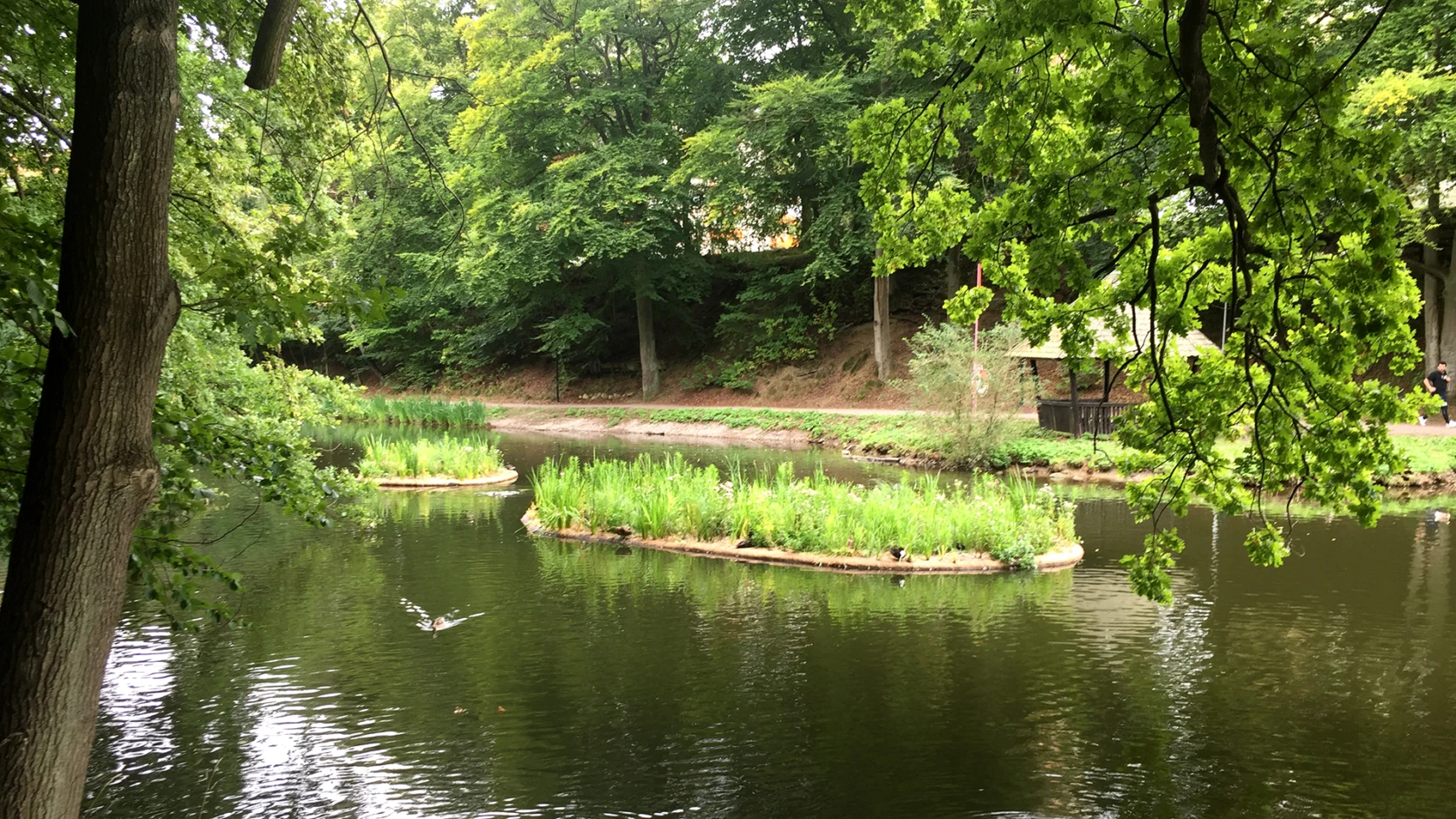 Gåsebäcken i Jordbodalen i Helsingborg.