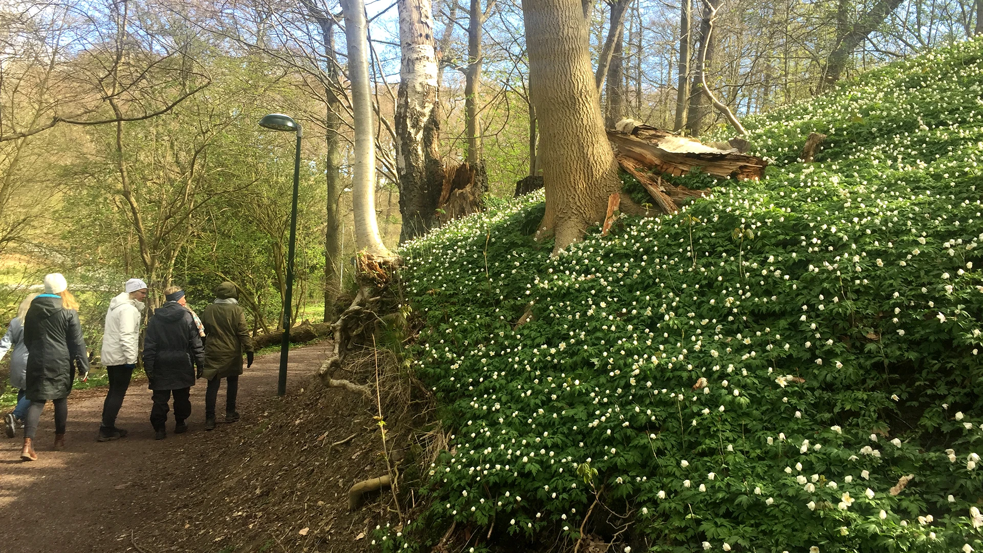 Människor på promenad i Jordbodalen i Helsingborg.