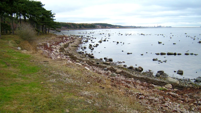 Naturområdet Kulla Gunnarstorp i Helsingborg.