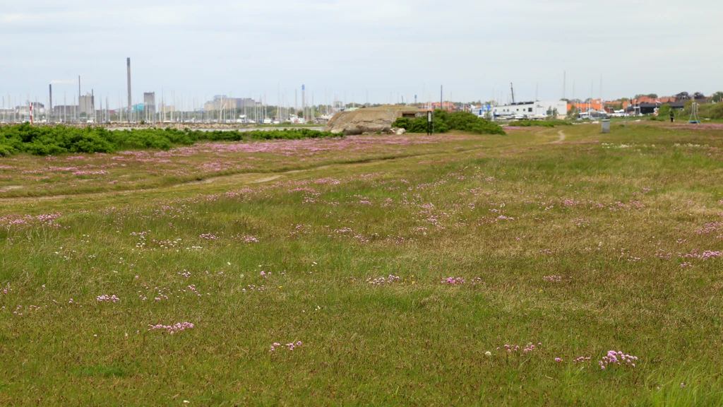 Naturreservatet Örby ängar i Helsingborg.