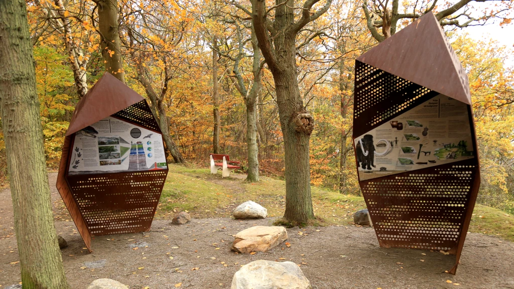 Naturpunkt Geologi i Pålsjö skog i Helsingborg.