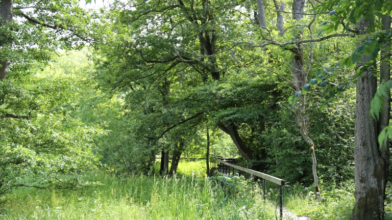 Gångstig med räcke i Rååns dalgång i Helsingborg.