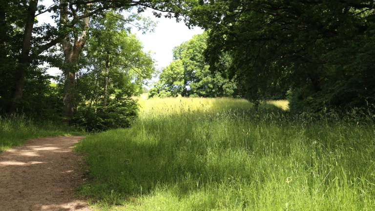 Gångstig vid gräsäng i Rååns dalgång i Helsingborg.