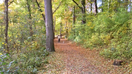 Gångväg i Ramlösaravinen i Ramlösa brunnspark i Helsingborg.