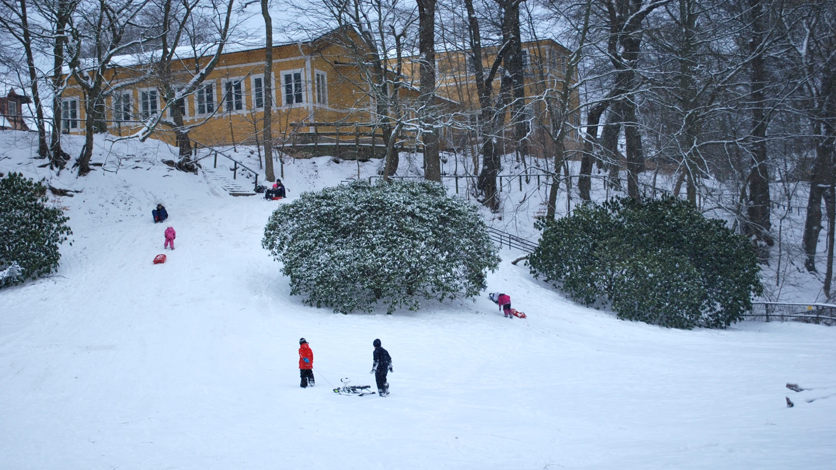 Barn i pulkabacke i Ramlösaravinen i Ramlösa brunnspark i Helsingborg.