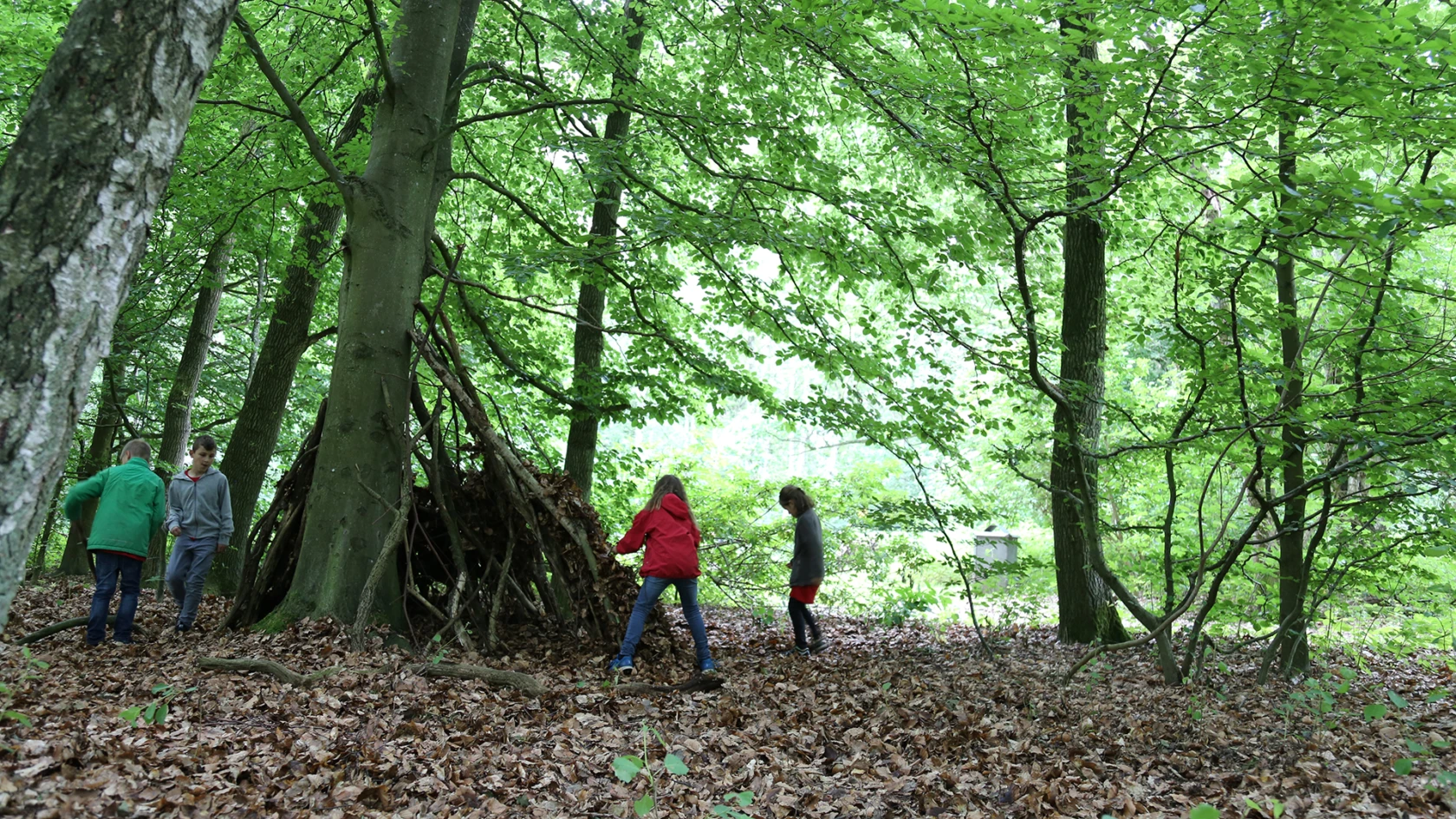 Barn bygger koja i naturområdet Väla skog i Helsingborg.