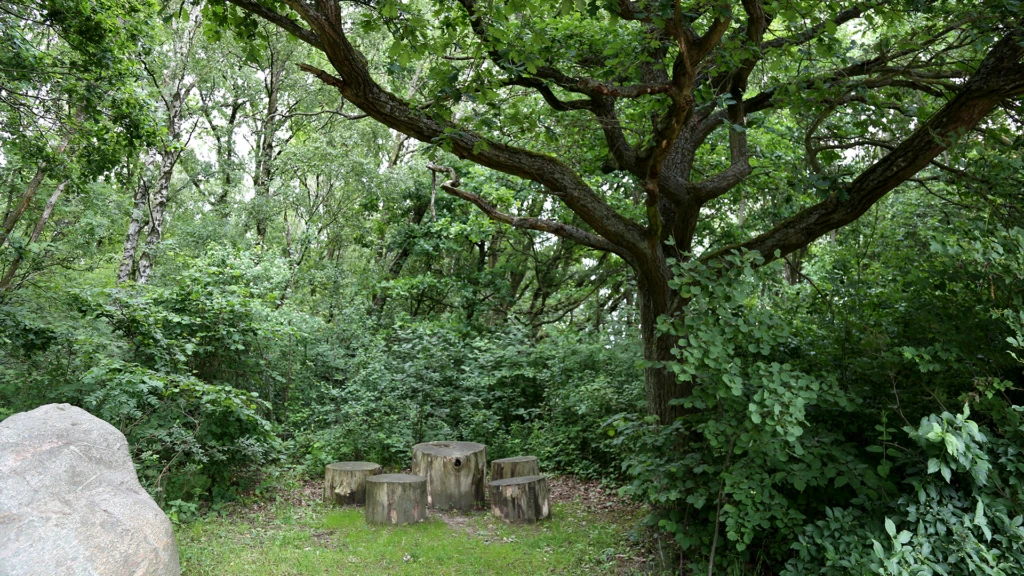 Rastplats i naturområdet Väla skog i Helsingborg.