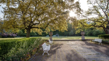 Bänk under träd i parken Margaretaplatsen