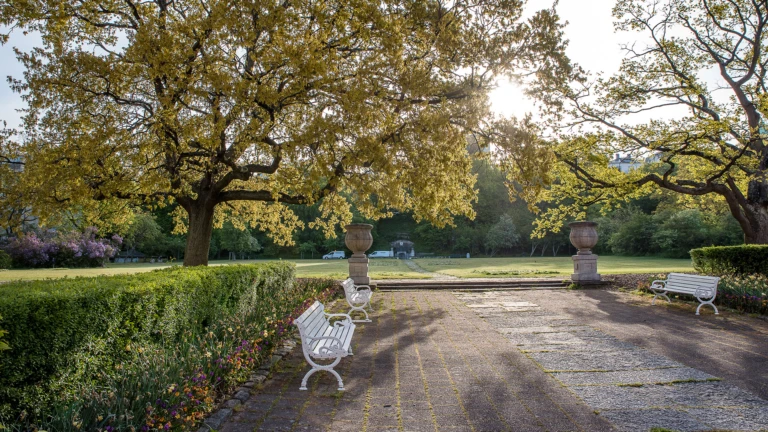 Bänk under träd i parken Margaretaplatsen