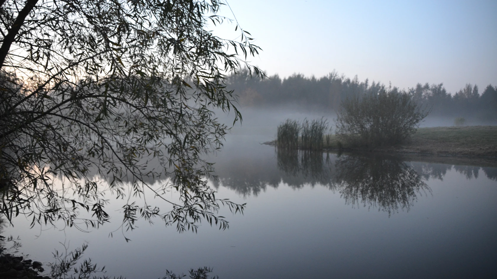 Filborna skogspark i Helsingborg (foto: Pontus Runeke)