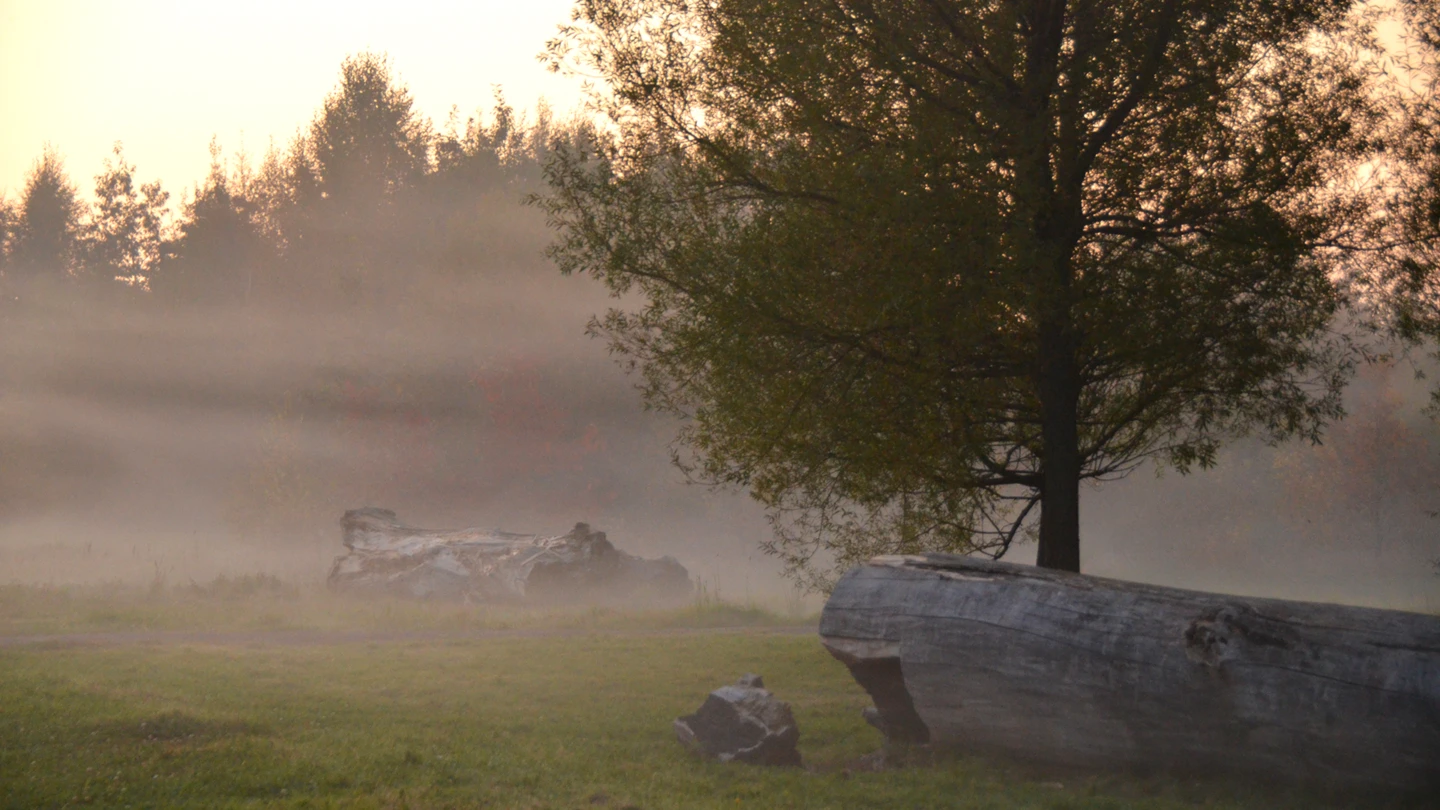 Filborna skogspark i Helsingborg (foto: Pontus Runeke)