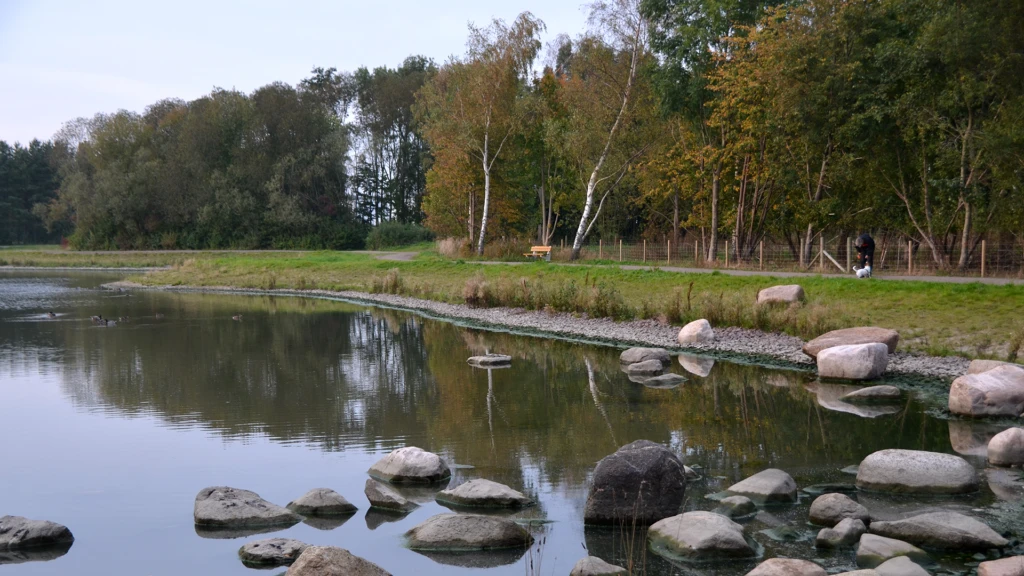 Filborna skogspark i Helsingborg (foto: Pontus Runeke)