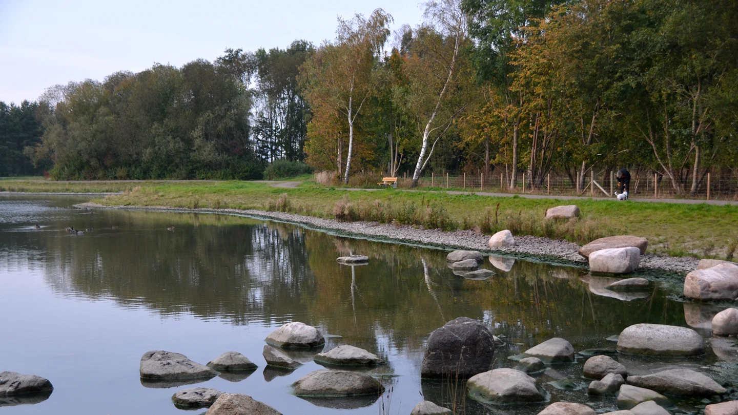 Filborna skogspark i Helsingborg (foto: Pontus Runeke)