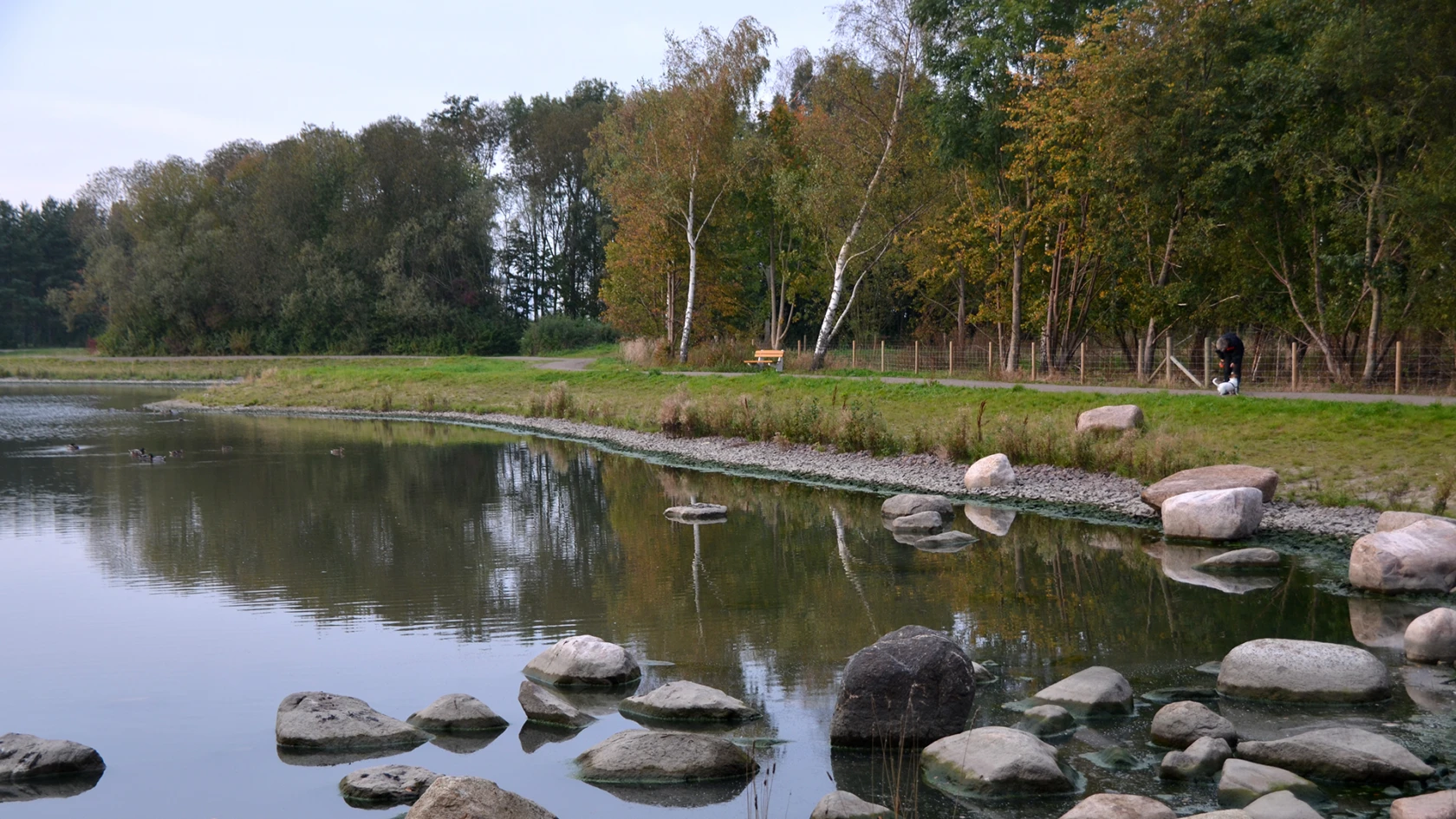 Filborna skogspark i Helsingborg (foto: Pontus Runeke)