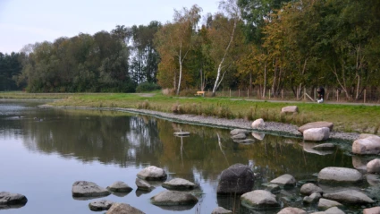 Filborna skogspark i Helsingborg (foto: Pontus Runeke)