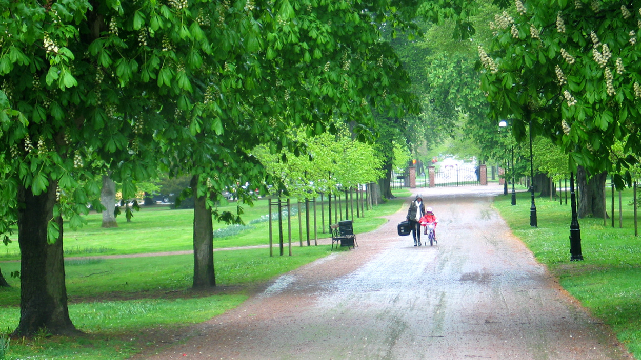 Allé i Ramlösa brunnspark i Helsingborg. (foto: Annika Anderberg Boman)