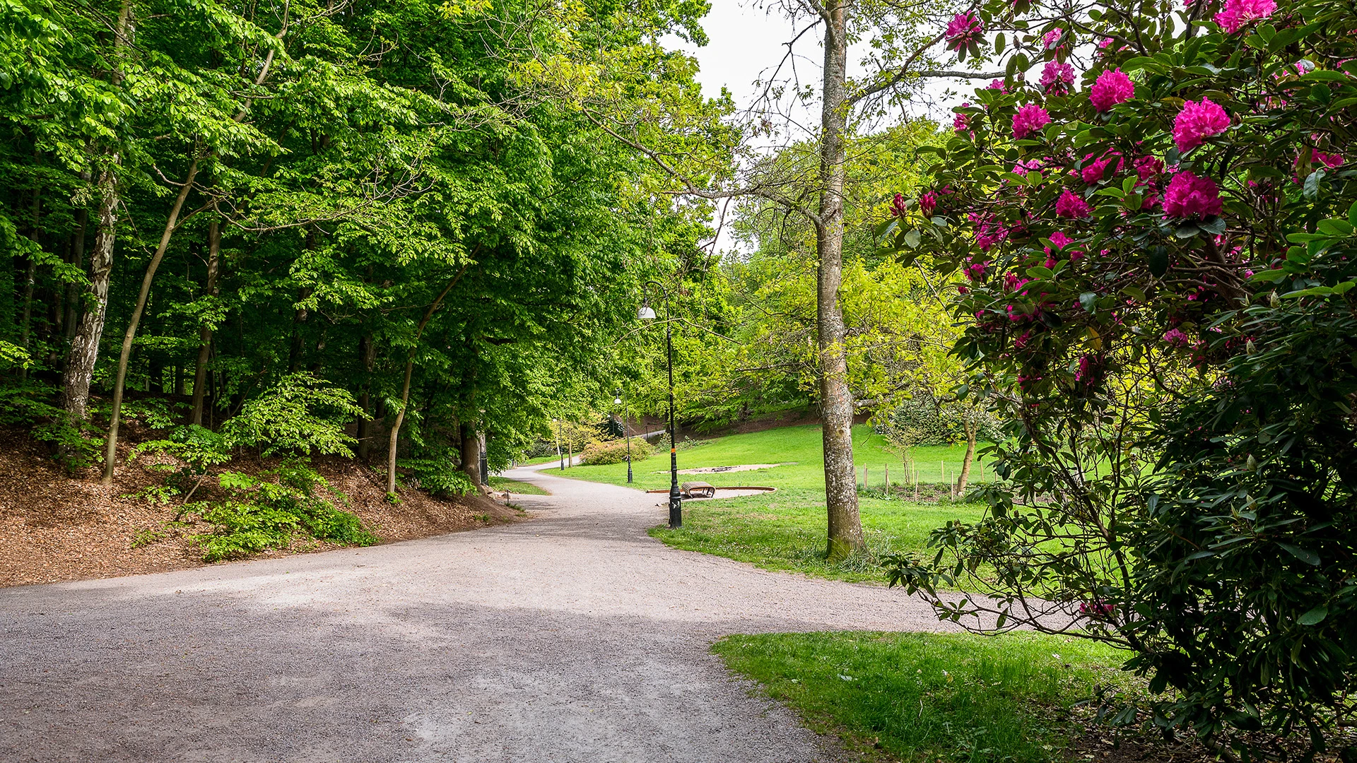 Gångväg i nedre parken i Ramlösa brunnspark