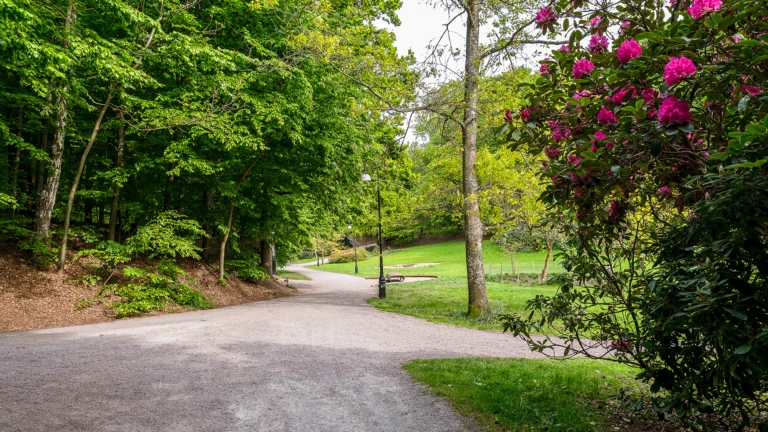 Gångväg i nedre parken i Ramlösa brunnspark