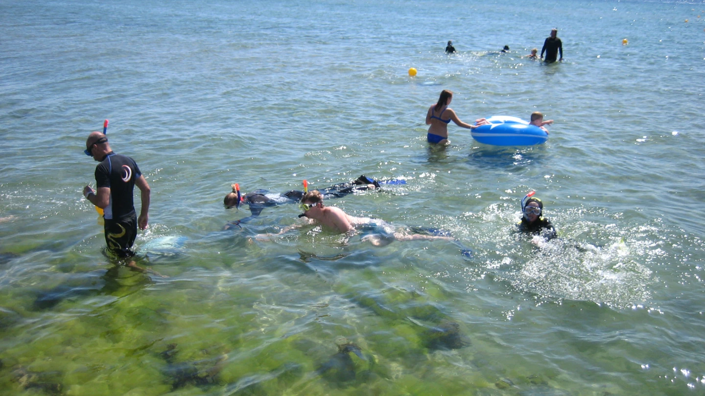 Snorklare vid snorkelleden vid Råå vallar i Helsingborg.