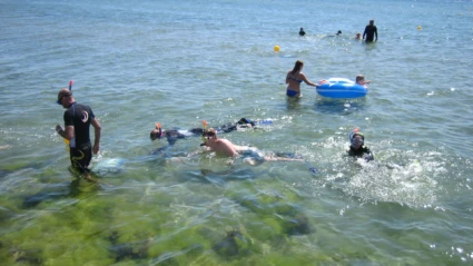 Snorklare vid snorkelleden vid Råå vallar i Helsingborg.