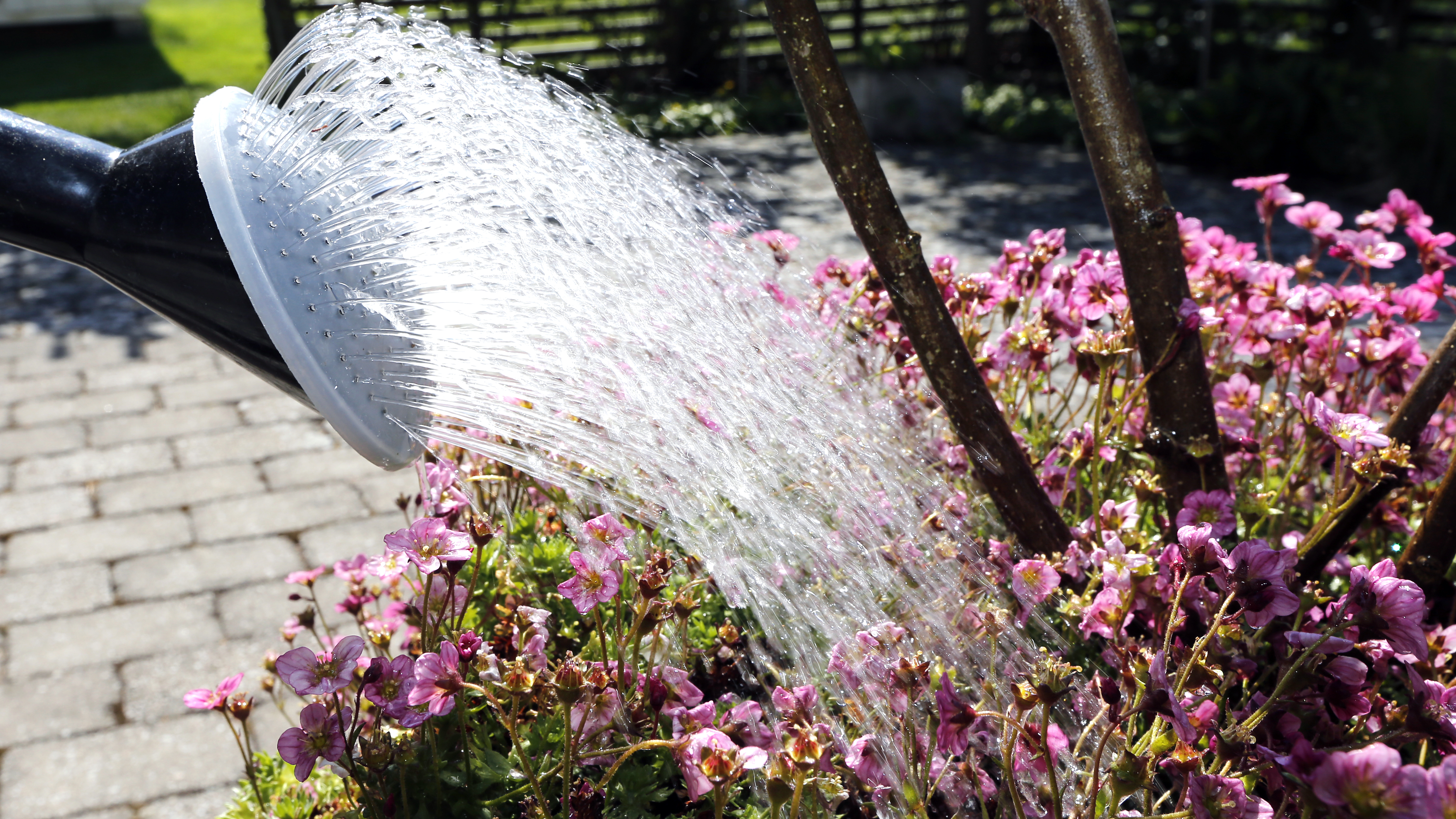 En blomrabatt blir vattnad.