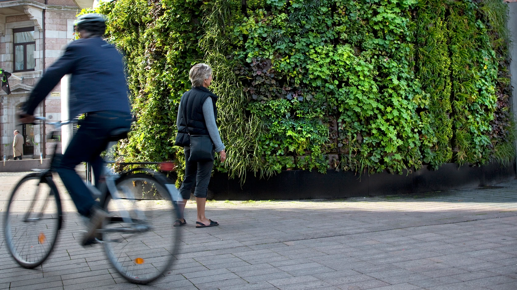 Vertikal trädgård på pumphuset vid Sundstorget i Helsingborg. (foto: Eva Lie)