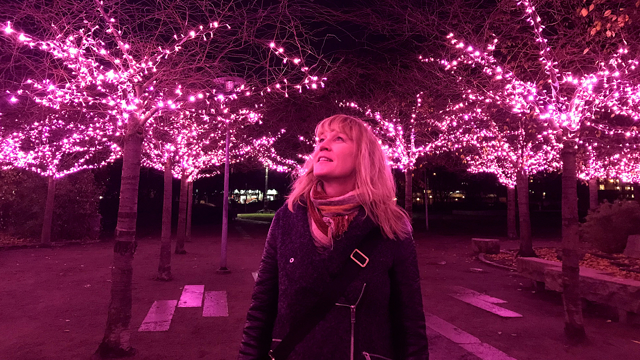 Elisabet Lindberg, vinterljusansvarig i Helsingborg, beundrar en av Helsingborgs vinterljusinstallationer, de rosa körsbärsträden vid Furutorpsplatsen.