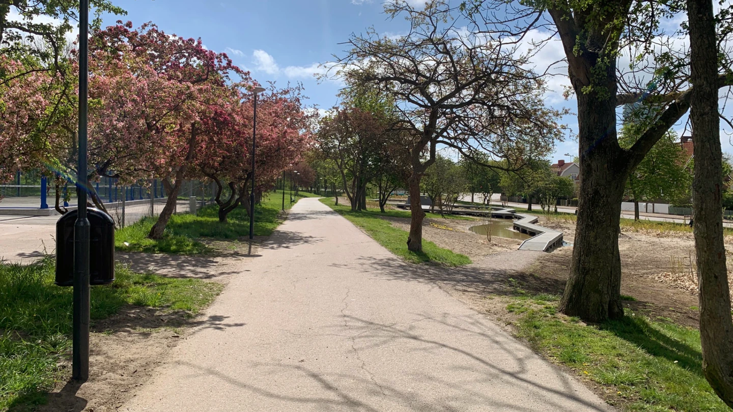 Gång- och cykelvägen genom Viskstråket tidig vår med blommande träd.