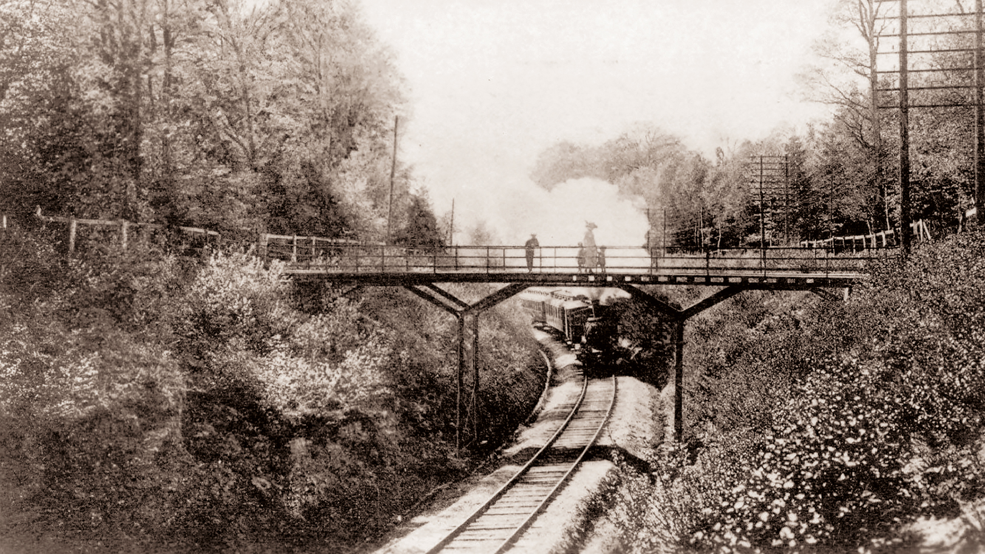 Järnvägsviadukt i Pålsjö skog. (foto: Helsingborgs museers samlingar)