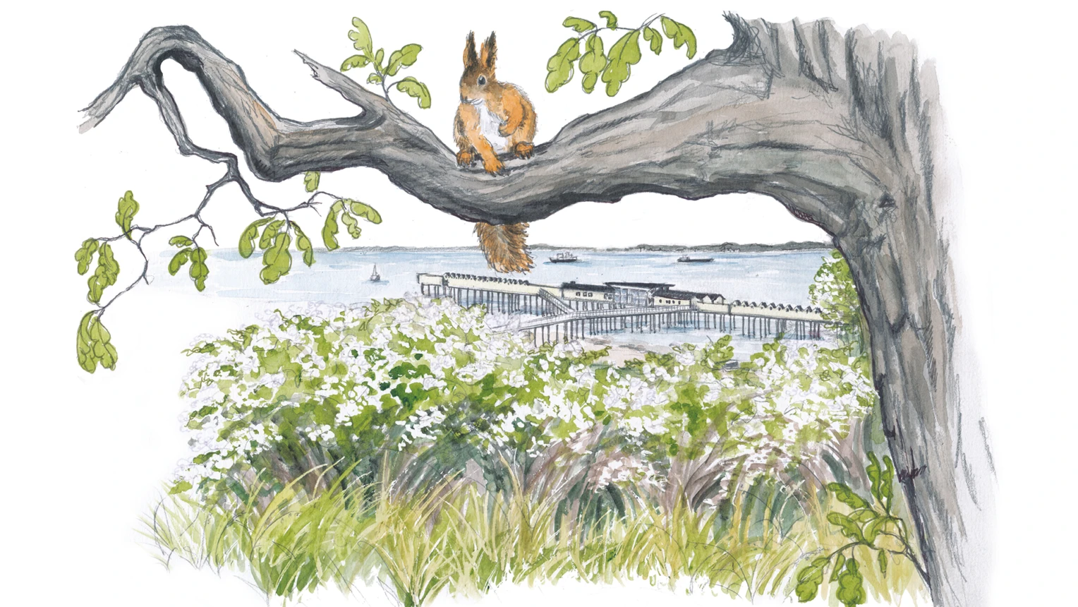 Utsikt från landborgen och Pålsjö naturreservat. Illustration.