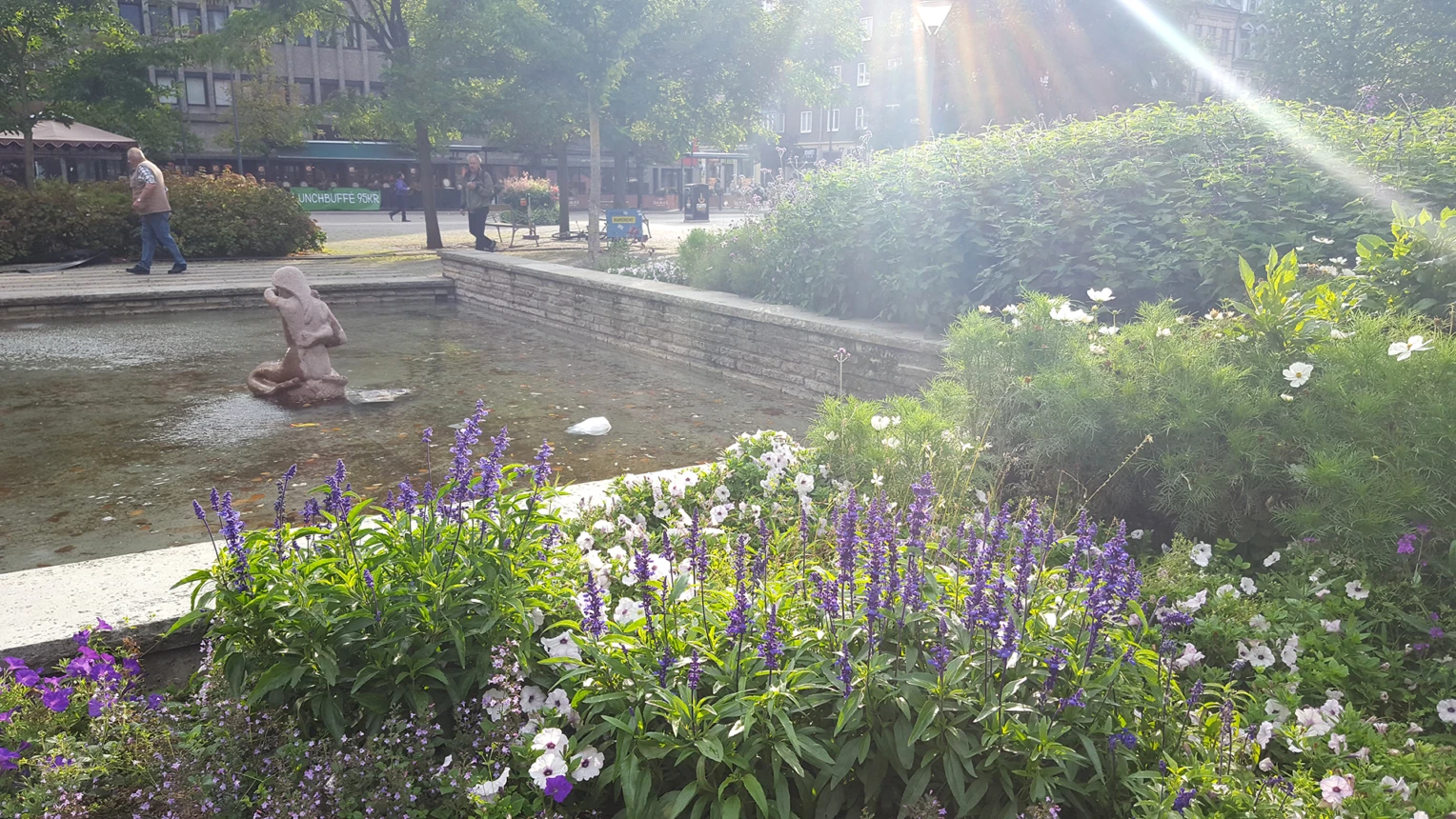 Blommande rabatt vid dammen vid GA torg i Helsingborg