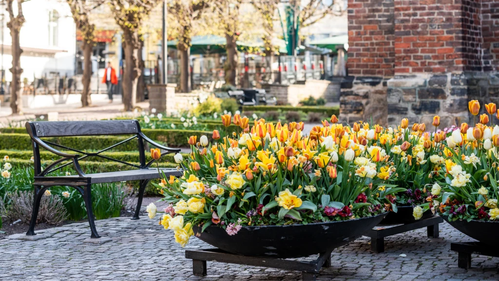 Blomsterfat i gult och orange