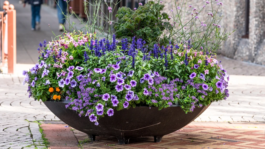 Blomsterfat i lila och blått