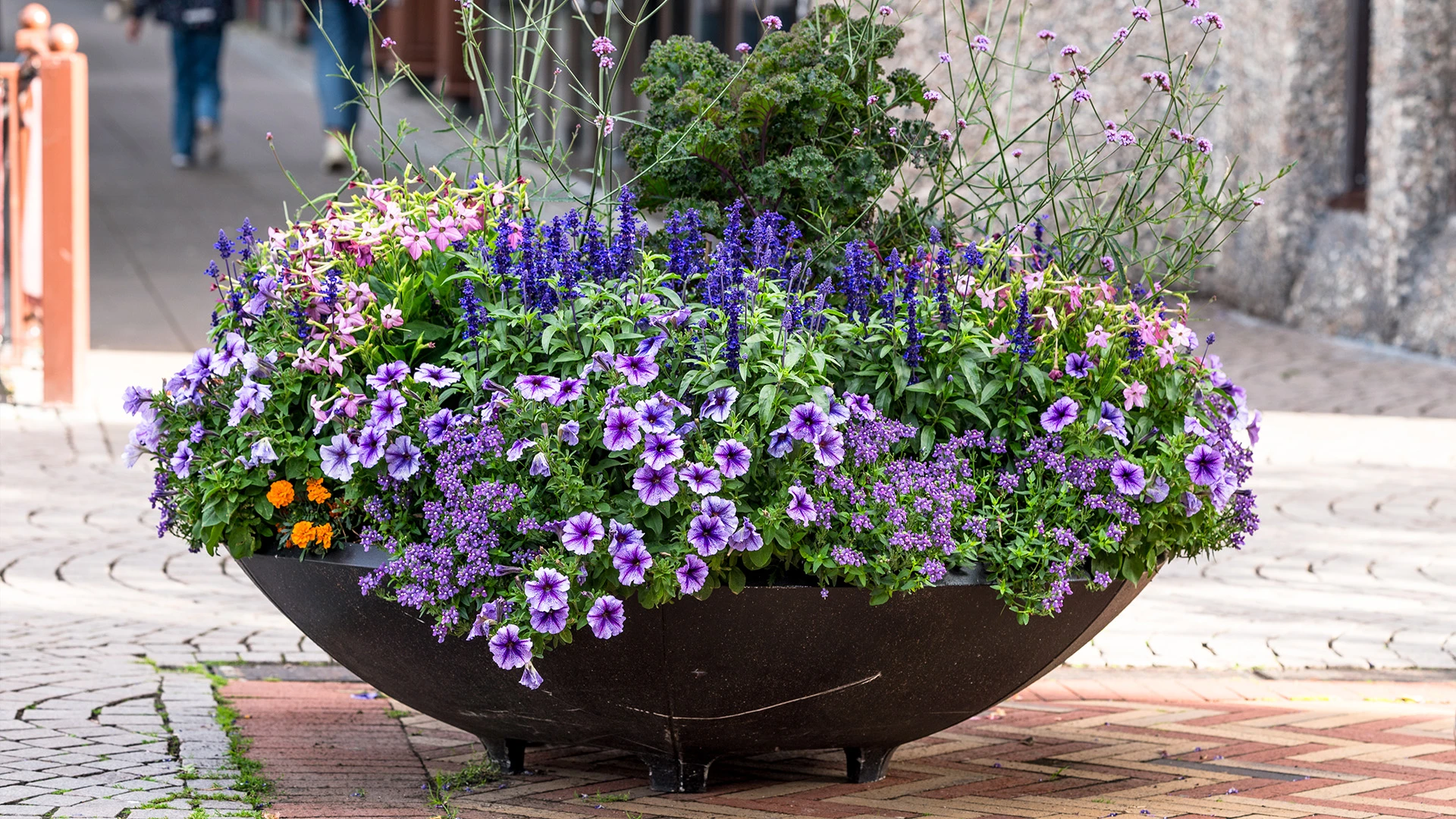 Blomsterfat i lila och blått