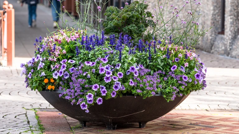 Blomsterfat i lila och blått