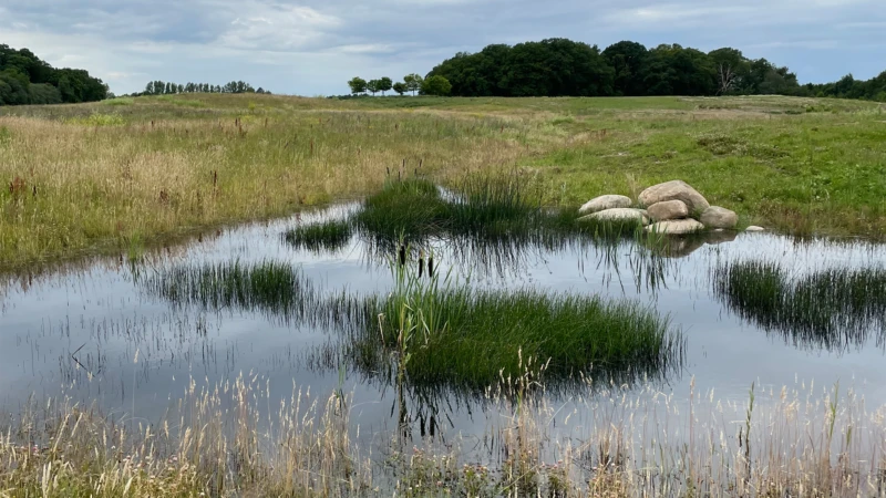 Sjöbecks park.