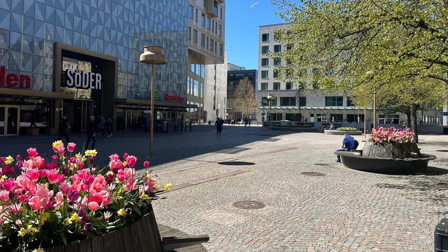 Del av Mäster Palms plats, med blomfat i förgrunden.