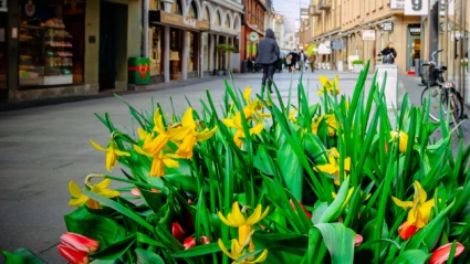Gågatan Helsingborg