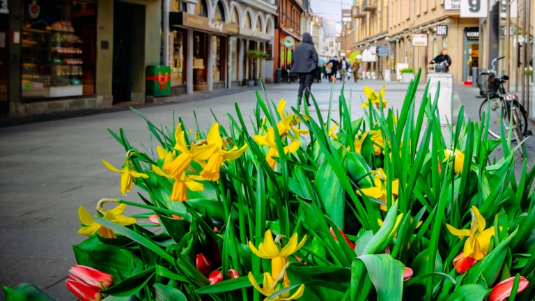 Gågatan Helsingborg